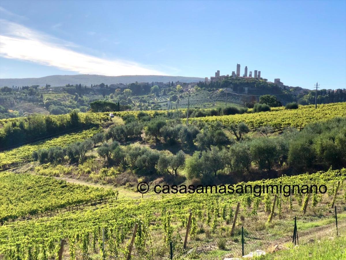 Charming House - Parking Included Apartment San Gimignano Exterior foto